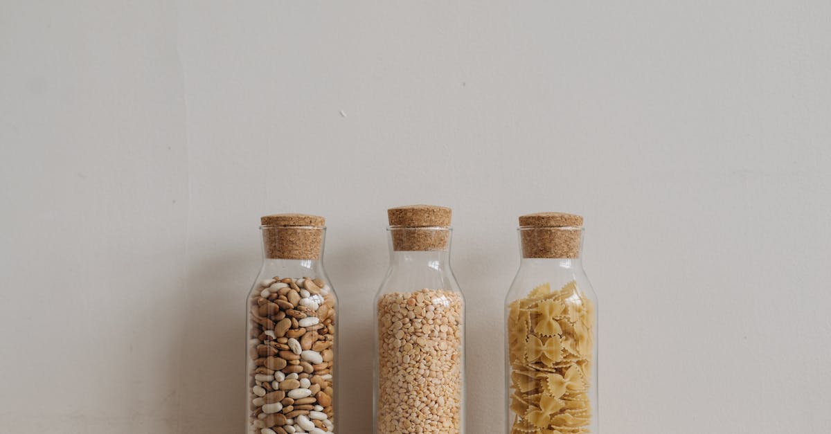 découvrez la cuisine durable : des recettes savoureuses, des ingrédients bio et des pratiques écologiques pour savourer un repas tout en respectant notre planète. adoptez une alimentation responsable et délicieuse dès aujourd'hui !