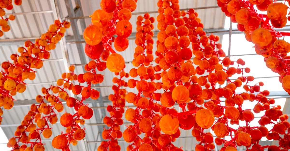 découvrez des méthodes durables qui favorisent un avenir écologique. apprenez comment intégrer des pratiques respectueuses de l'environnement dans votre quotidien pour préserver notre planète.