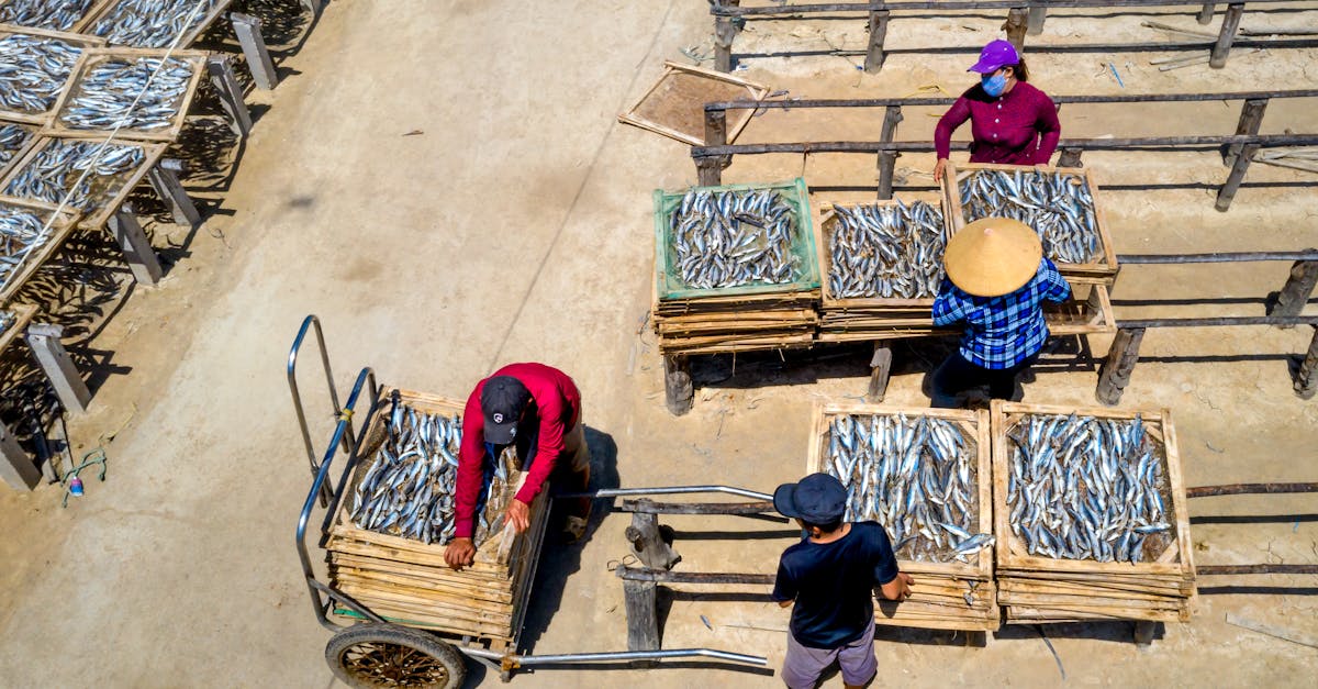 découvrez des méthodes durables innovantes pour protéger notre planète. apprenez à adopter des pratiques écologiques dans votre quotidien, minimiser votre empreinte carbone et contribuer à un avenir plus vert.