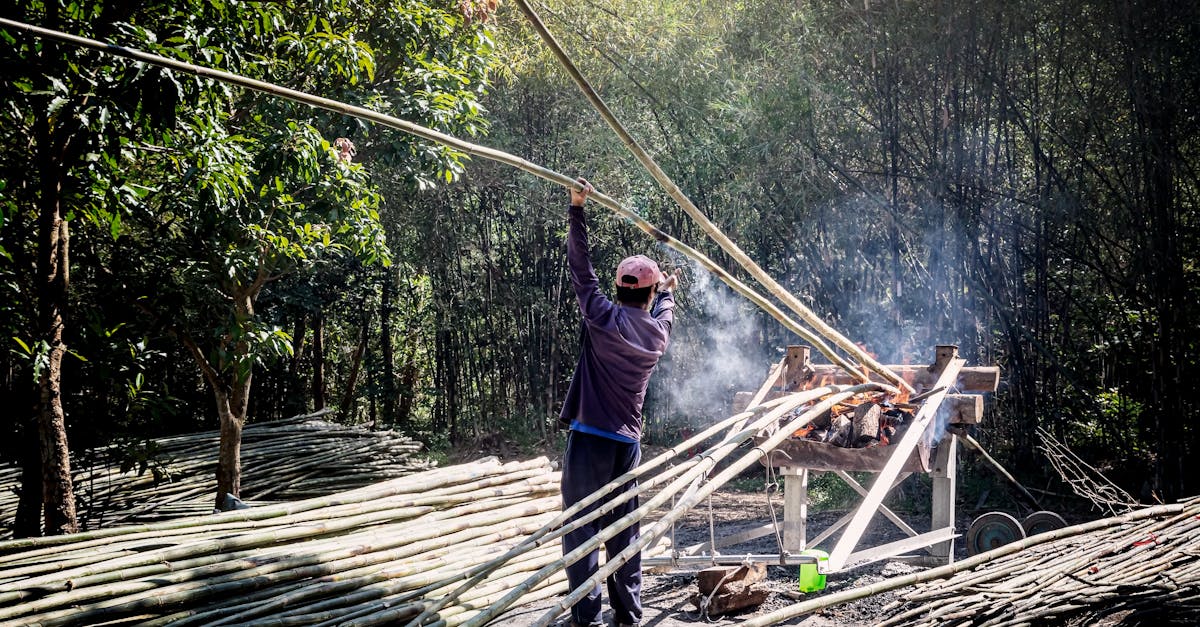 découvrez des méthodes durables qui préservent notre planète tout en améliorant votre quotidien. apprenez à adopter des pratiques respectueuses de l'environnement et à promouvoir un mode de vie écoresponsable.