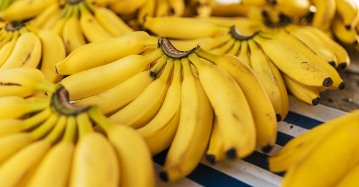 découvrez les nombreux avantages que vous pouvez tirer des bienfaits, qu'ils soient liés à la santé, au bien-être ou à l'efficacité. apprenez comment ces bénéfices peuvent transformer votre quotidien et améliorer votre qualité de vie.