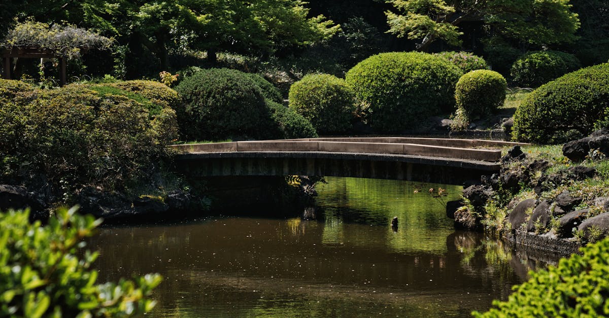 découvrez les réflexions profondes et inspirantes à travers les pensées et analyses sur la vie, l'art et la société. plongez dans un univers de sagesse et de créativité qui éveille votre curiosité.