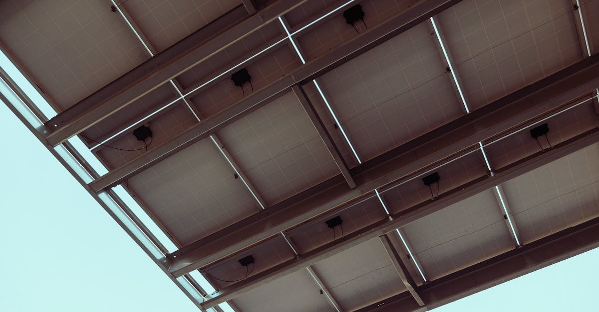 découvrez comment l'économie durable façonne un avenir plus respectueux de l'environnement, en intégrant des pratiques éthiques et durables pour promouvoir la croissance économique tout en préservant nos ressources naturelles.