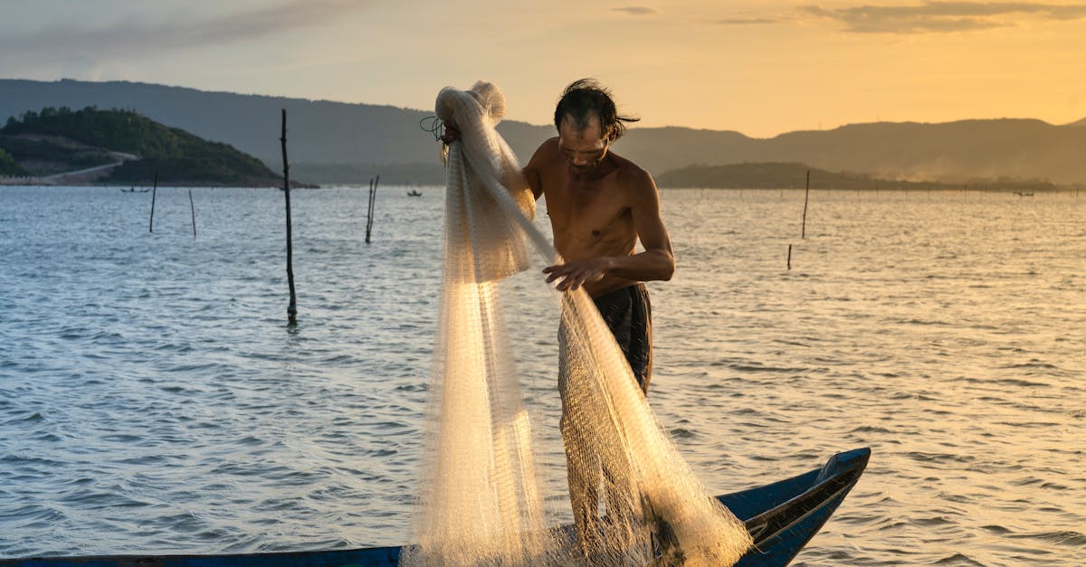 découvrez les pratiques de la pêche durable, qui préservent les écosystèmes marins et garantissent des ressources halieutiques pour les générations futures. apprenez comment choisir des produits de la mer responsables et contribuer à la protection des océans.