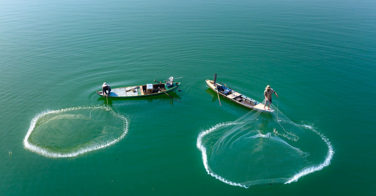 découvrez les pratiques de la pêche durable qui préservent nos océans tout en soutenant les communautés de pêcheurs. apprenez comment adopter des méthodes respectueuses de l'environnement pour garantir un avenir responsable et équitable.