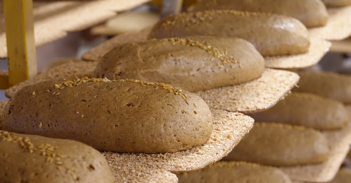 découvrez les cuisines traditionnelles du monde, où chaque plat raconte une histoire riche et savoureuse. plongez dans un voyage culinaire authentique à travers des recettes variées et des techniques ancestrales qui mettent en valeur les ingrédients locaux.